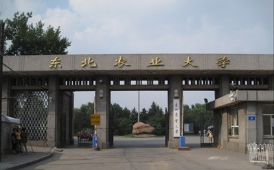 东北农业大学mba招生